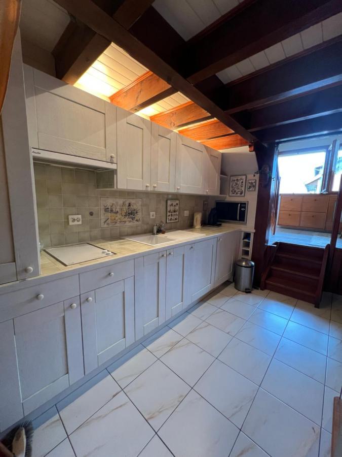 Rare 2 Bedroom With Private Beach On Lake Annecy Doussard Zewnętrze zdjęcie